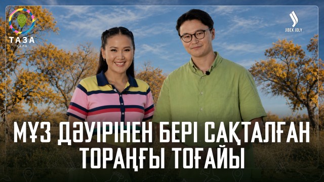 Мұз дәуірінен бері сақталған Тораңғы тоғайы