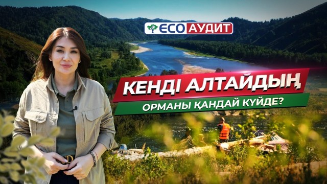 Шығыс Қазақстандағы орманды қалпына келтіру жұмыстары