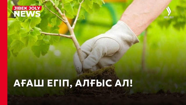 Ауыл тұрғындары 100 түп тал екті