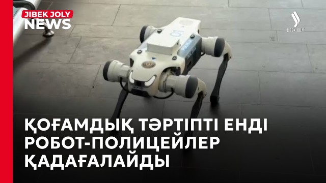 Қостанайда робот-иттер патрульге шықты