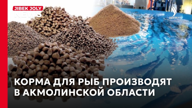 Рыбное хозяйство под Астаной: новый завод запустят в 2027 году