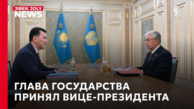 Глава государства принял Вице-Президента