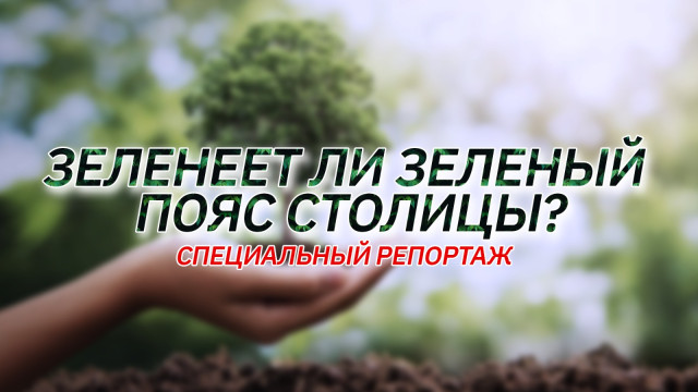 Зеленеет ли Зеленый пояс столицы?