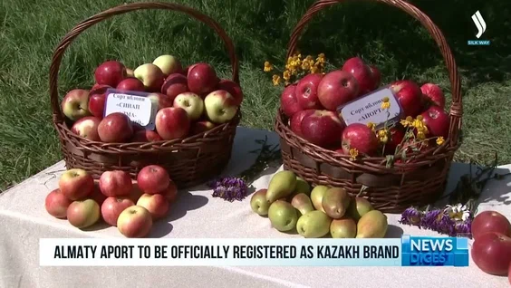 Алматинский апорт официально зарегистрируют как казахстанский бренд