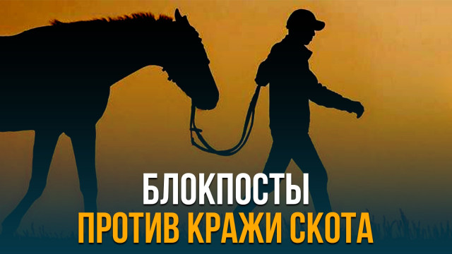 Главные новости 22.09.2023 г.