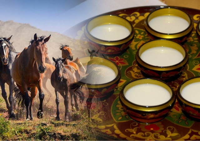 Қазақстанда қымыз өндірісі артты
