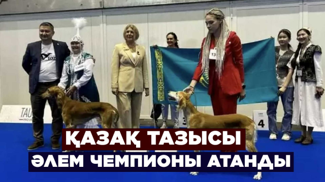 ЖАҢАЛЫҚТАР. 28.08.2023 күнгі шығарылым