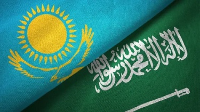 Реализацию совместных с Саудовской Аравией инвестпроектов обсудили в Правительстве