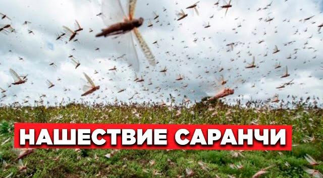 Новости. Выпуск от 10.07.2023 г.