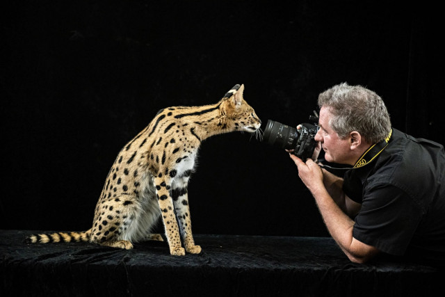 National Geographic фотографы ақбөкендерді түсіру үшін Қазақстанға арнайы келді