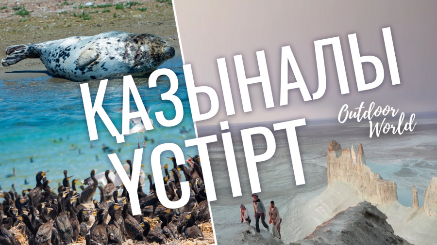 Маңғыстауға саяхат: Үстірт жазығы, Бозжыра тауы, Түпқараған түбегі