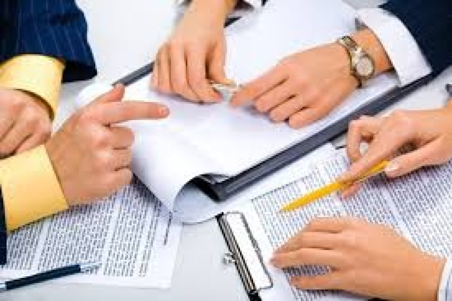 Жаңа экономикалық бағыттың басымдықтарына қатысты сарапшы пікірі