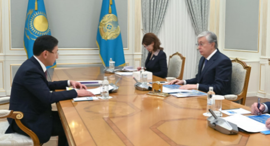 Мемлекет басшысы Ұлттық спорт қауымдастығының президентін қабылдады