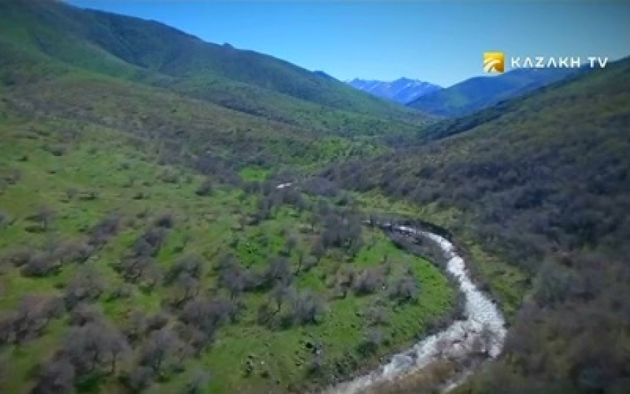 На поиски архаров в Малый каратау