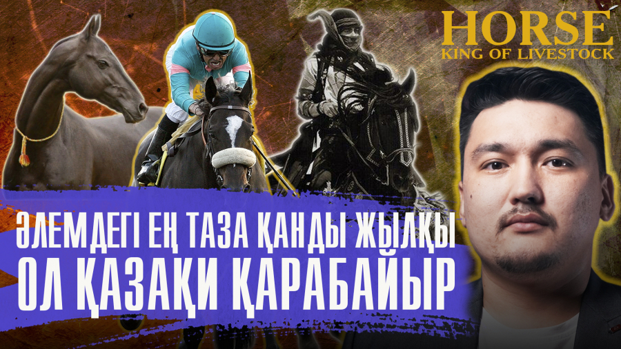 Ерге мінген жігітке он кісілік күш бітеді