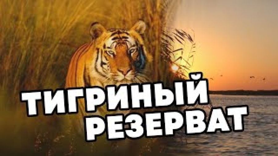 Тигриный резерват