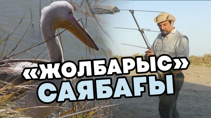 Іле-Балқаш табиғи резерваты. Жолбарыс саябағы | Outdoor Central Asia