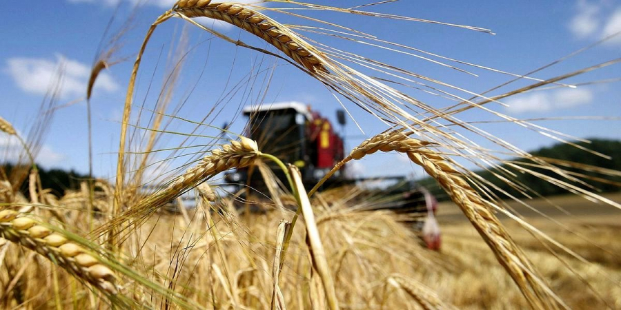 АӨК өнімінің экспорттық әлеуетін арттыру көзделді