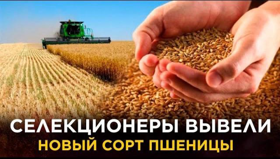 Новости. Выпуск от 16.03.2023 г.