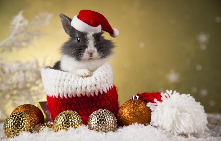 С Новым годом!!!