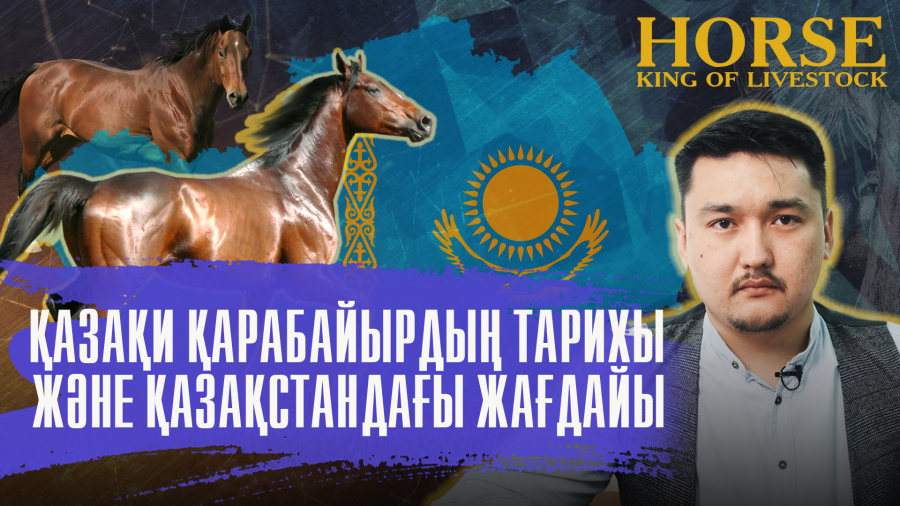 Қазанат деген қандай жылқы?