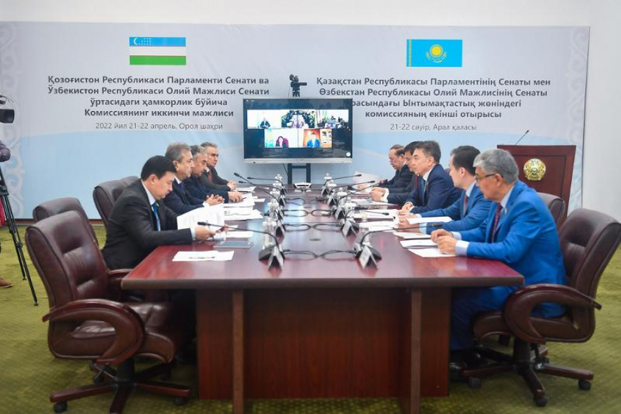 Қазақстан мен Өзбекстан сенаторлары арал проблемасын талқылады