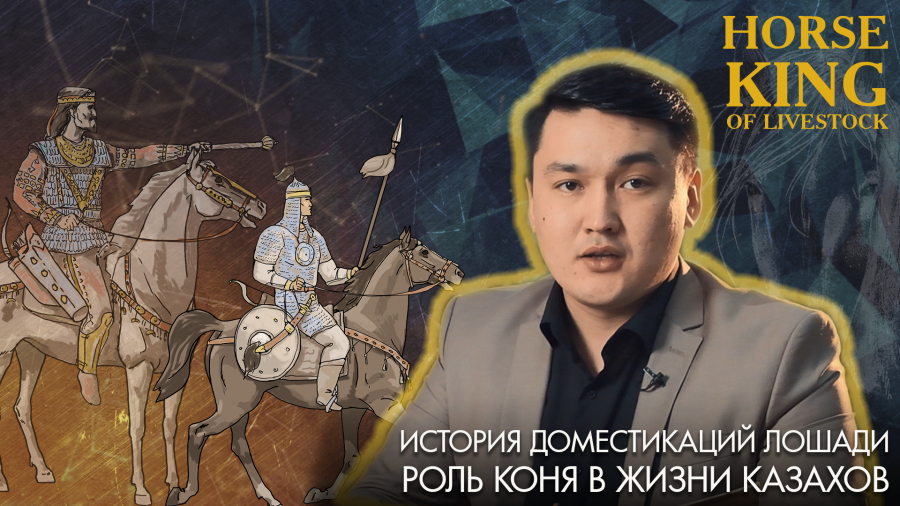 Где же впервые оседлали лошадь?