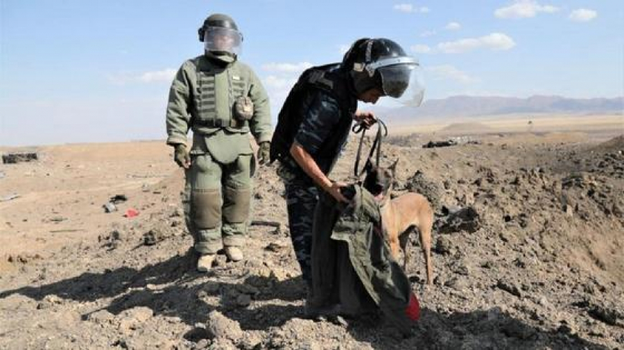 Взрыв в Жамбылской области: установлены личности еще троих погибших