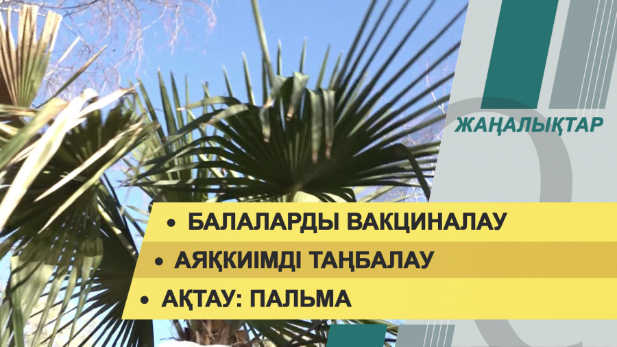 23 қараша 2021 жыл – жаңалықтар топтамасы