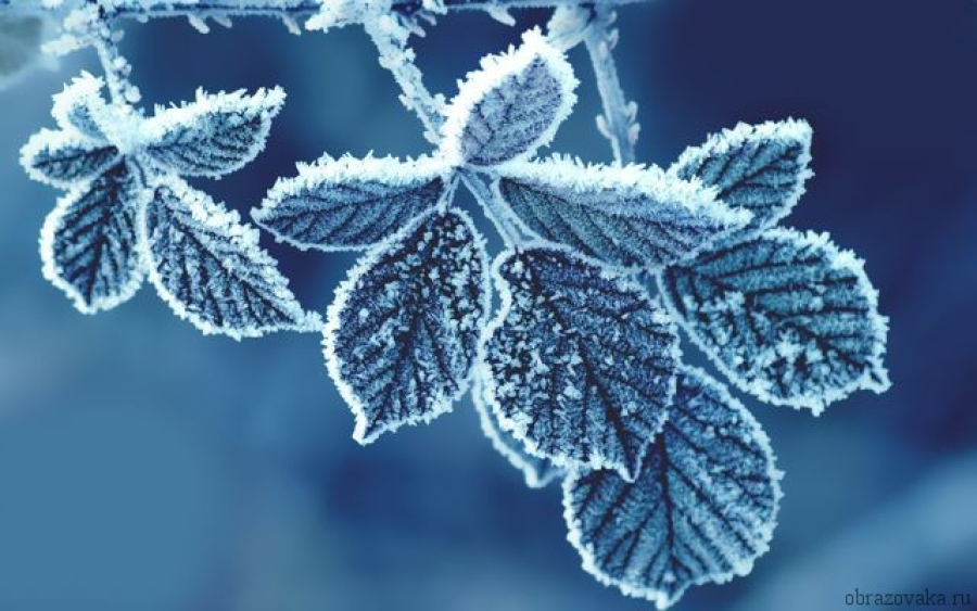 Қазақстанда ауа температурасы 43 градусқа дейін төмендейді