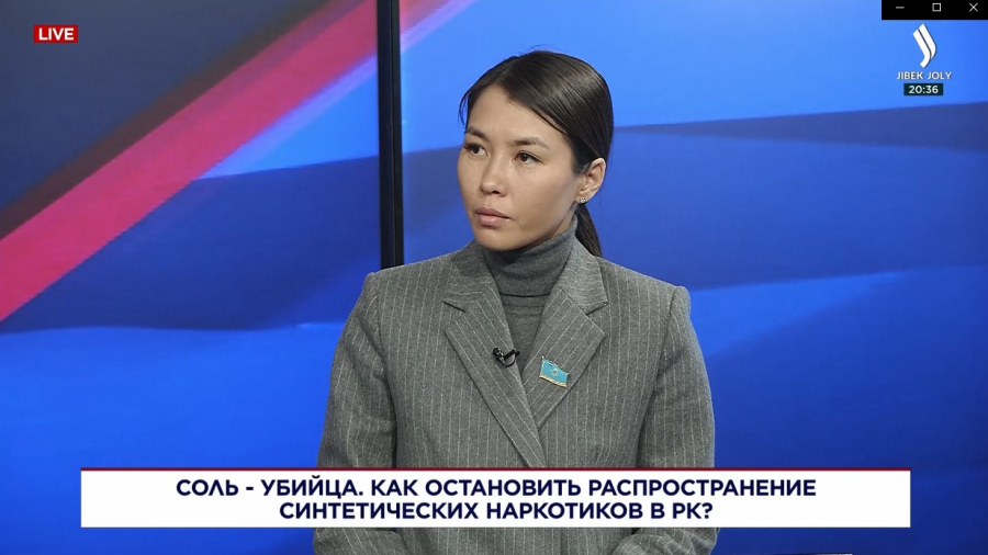 Как остановить распространение синтетических наркотиков в РК?