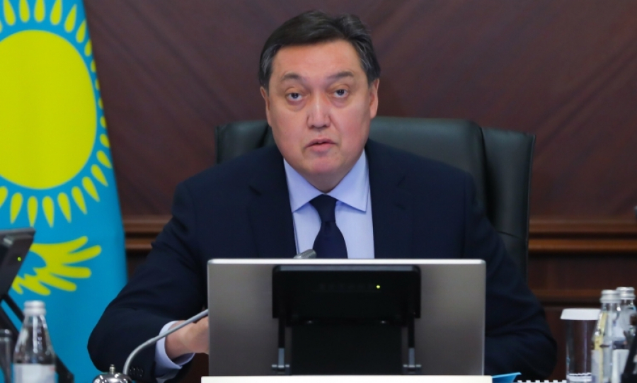 А. Мамин: «Қарапайым заттар экономикасы» бағдарламасы тиімділігін дәлелдеді