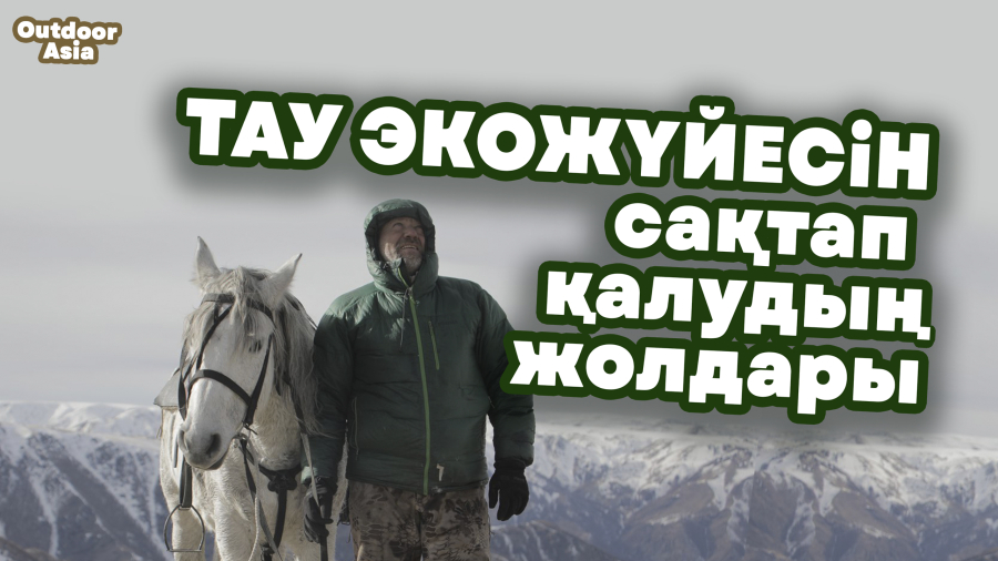 Тау экожүйесін сақтап қалудың жолдары