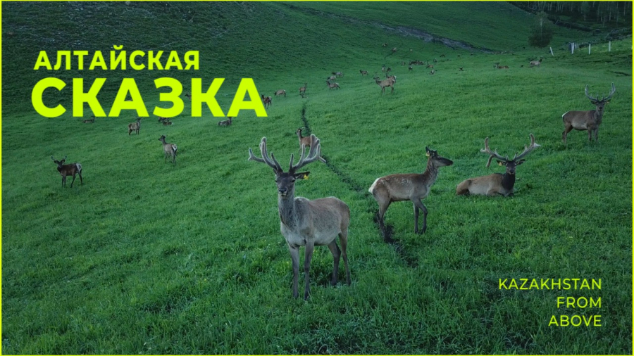Алтайская сказка Восточного Казахстана