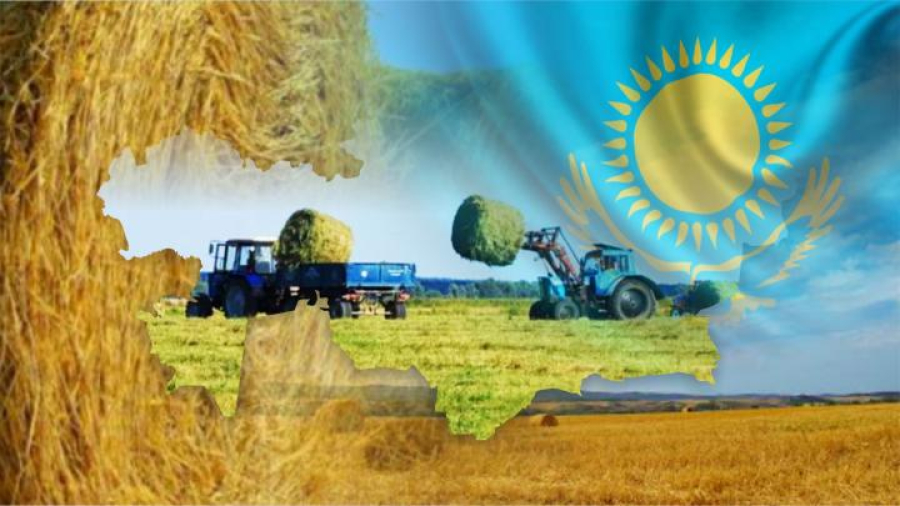 Қазақстанда шамамен 600 млрд теңгеге ауыл шаруашылығы жобалары іске қосылады