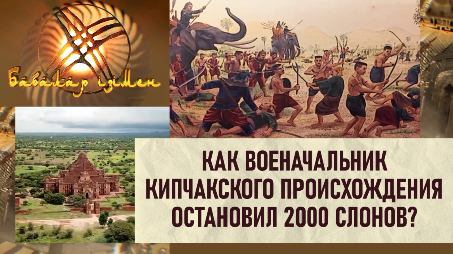 Как военачальник кипчакского происхождения остановил 2000 слонов?