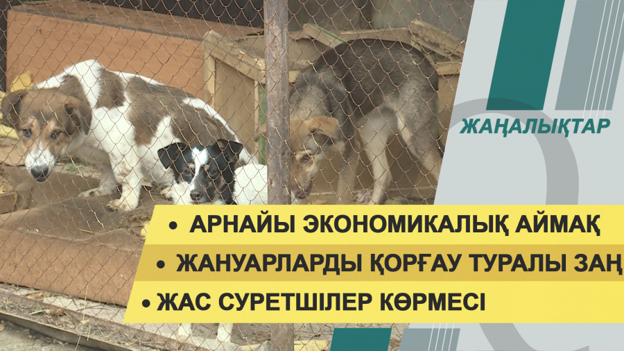 17 қараша 2021 жыл – жаңалықтар топтамасы