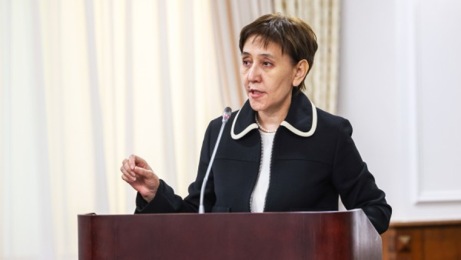 Концепцию миграционной политики на 2023-2027 гг. представили в Правительстве РК