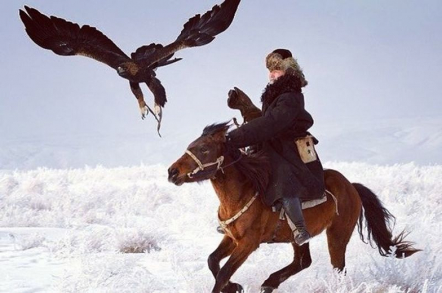 Сыр өңірінде ежелгі дәстүрден турнир өтті