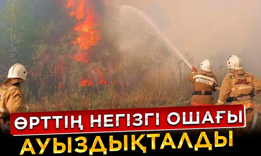Өрттің негізгі ошақтары ауыздықталды | Арнайы шығарылым