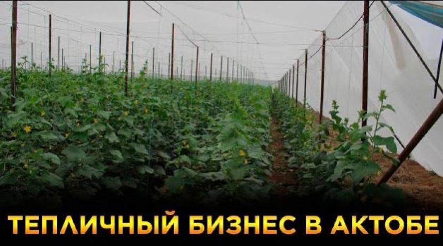 Новости. Выпуск от 04.04.2023 г.