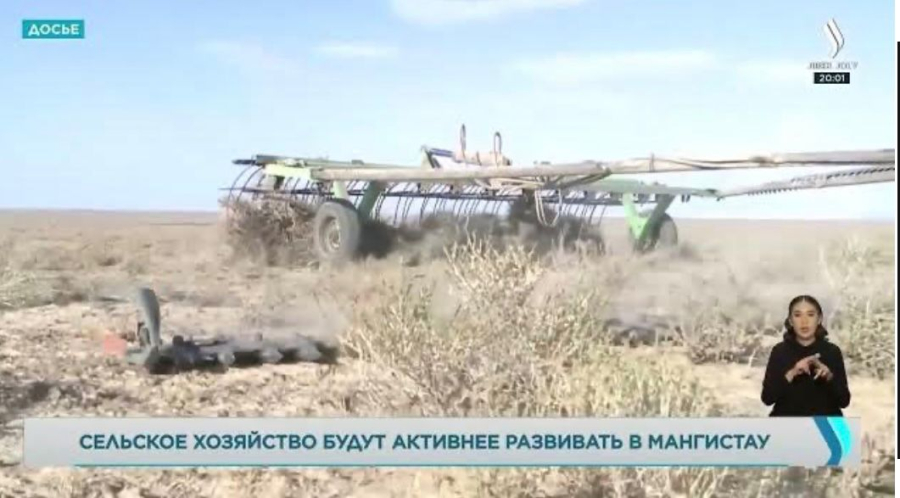 Сельское хозяйство будут активнее развивать в Мангистау