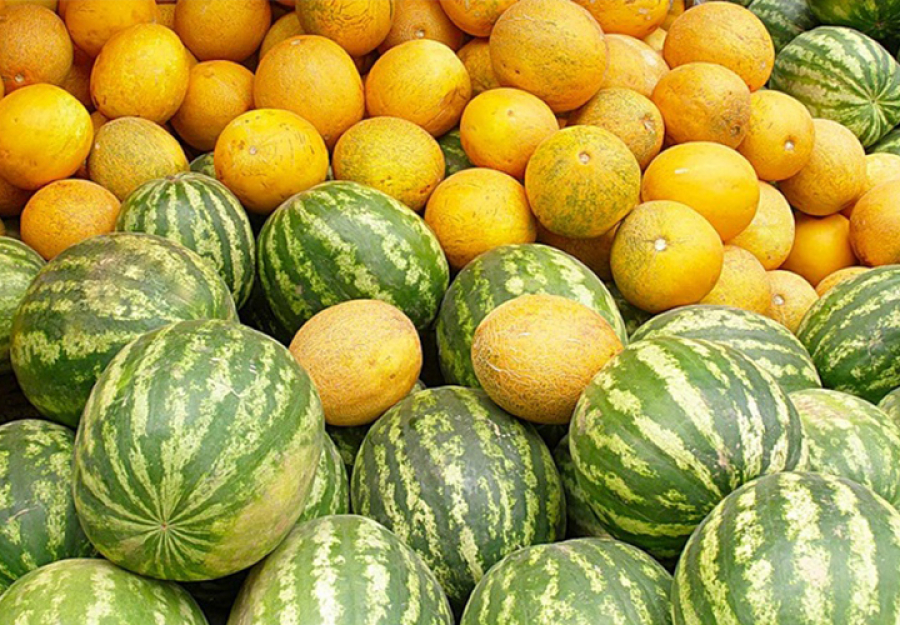 Қауын-қарбыз экспорты рекордтық көрсеткішке жетті