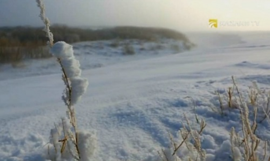 Тургайское плато
