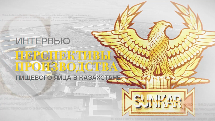 Ждёт ли Казахстан дефицит яиц в новом году?