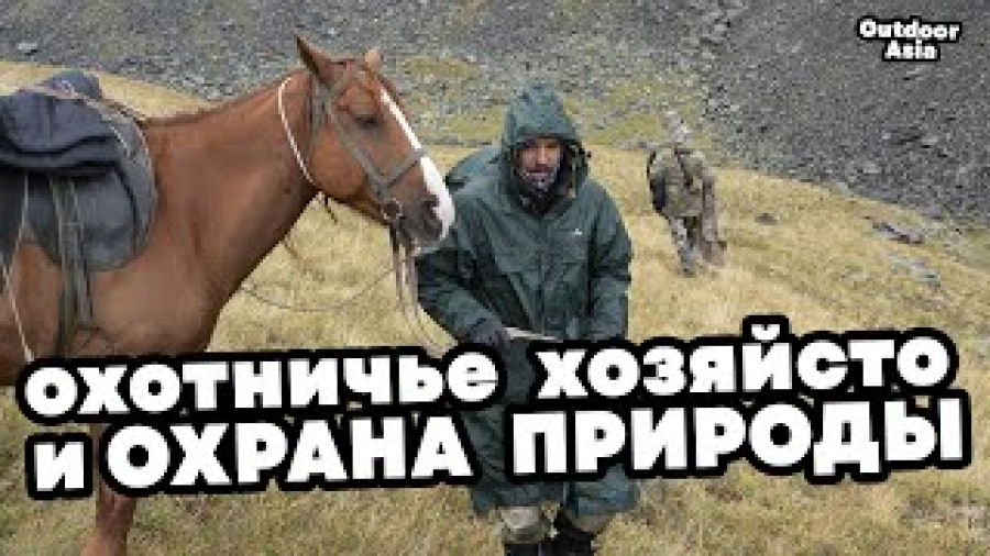 Охотничье хозяйство и охрана природы