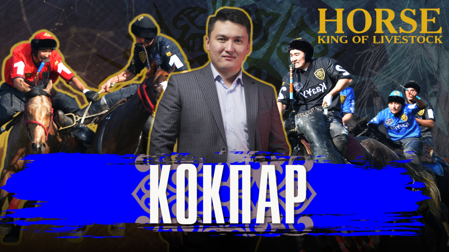 Что такое Кокпар?