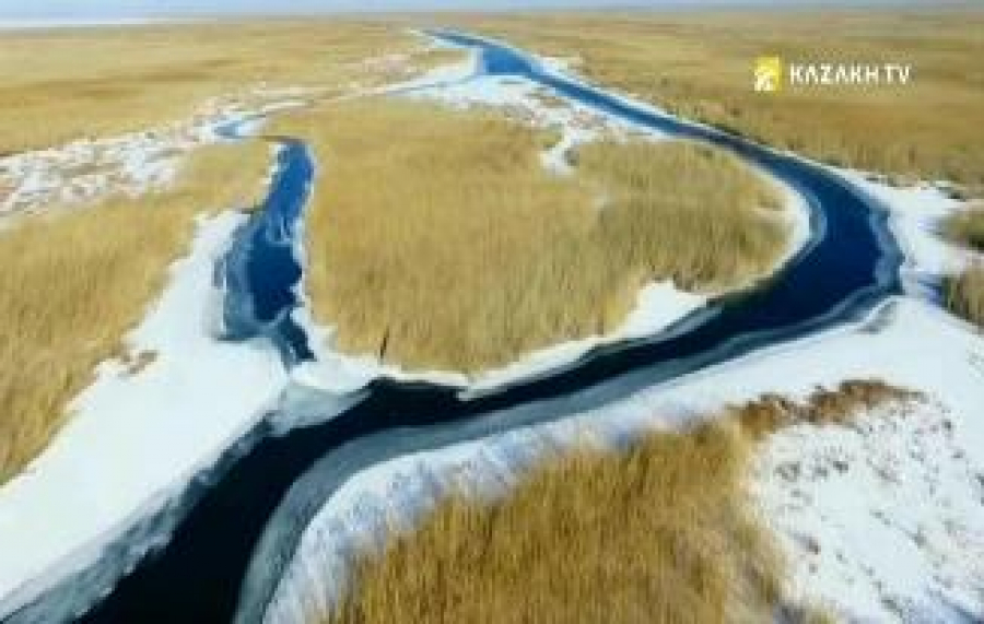 Іле өзенінің сағасы