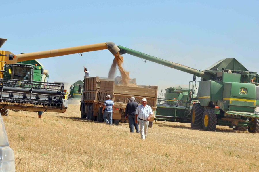 Ауыл шаруашылығы алқаптарының өнімділігін қалай арттыруға болады?