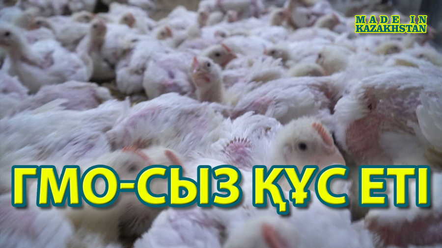 Алматы облысында кәсіптің қандай түрлері мен профильдері жұмыс істейді?